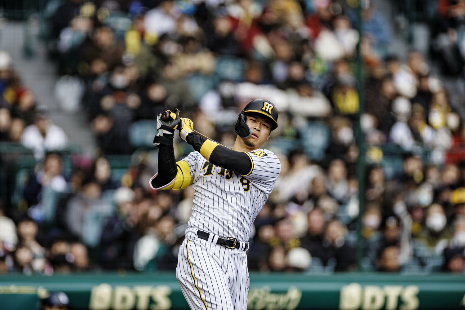 佐藤輝明　©Kiichi Matsumoto