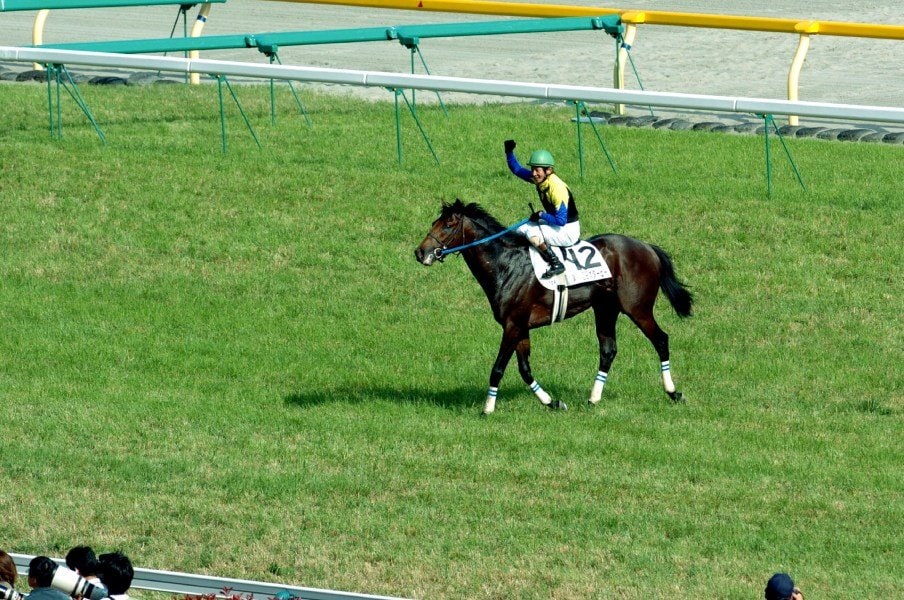 ダービー 何かやんなきゃまずいかなと 安藤勝己がキングカメハメハで初制覇したとき感じたこととは 2 3 競馬 Number Web ナンバー