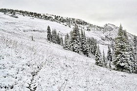 ゴール直前、雪がトレイルを覆った。 