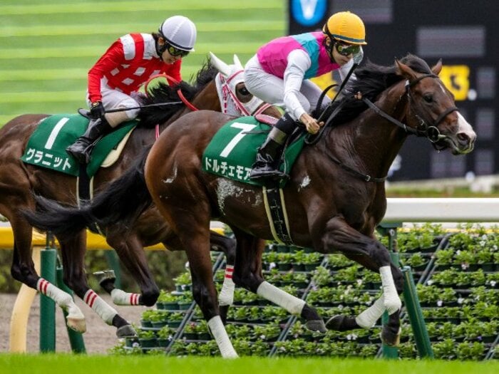 ”出世レース”朝日杯の本命馬は”奇跡の参戦”ドルチェモアか？ 勝ちっぷりが強烈なコーパスクリスティも「強いだけに怖い」＜Number Web＞ photograph by Photostud