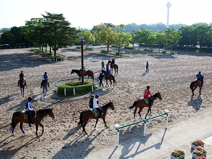理不尽な人員削減要求で、暗澹たる厩務員の今後。～競馬界に残された解決策とは？～＜Number Web＞ photograph by Yoko Kunihiro