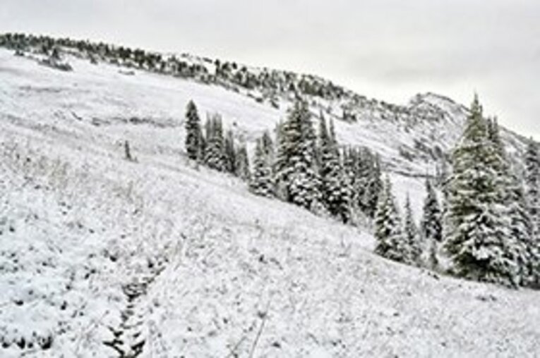 ゴール直前、雪がトレイルを覆った。 