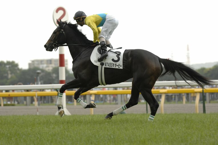 日本ダービーを制したウオッカ　©Keiji Ishikawa