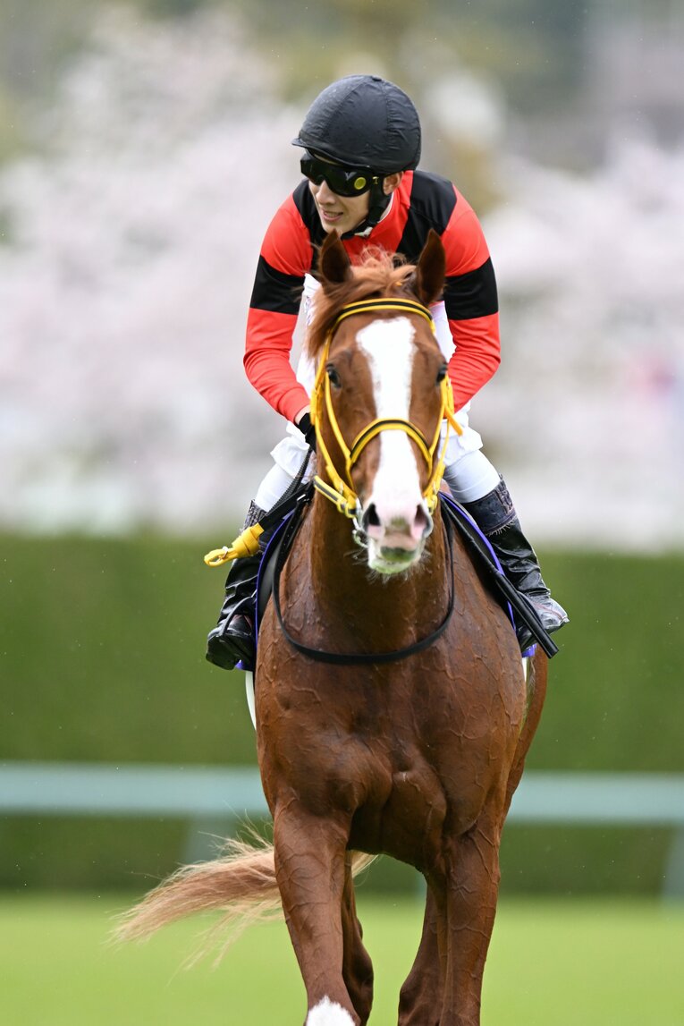 2番人気ジャックドールはGI初挑戦で5着という結果に　©Keiji Ishikawa