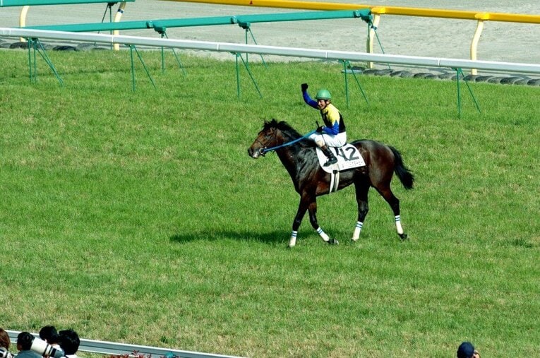 安藤勝己が見せた「ぎこちない」ガッツポーズ　(C)Sankei Shimbun