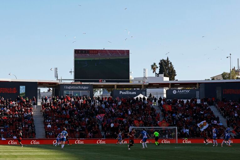 スタジアム上空に、たくさんのかもめの姿も　©Daisuke Nakashima