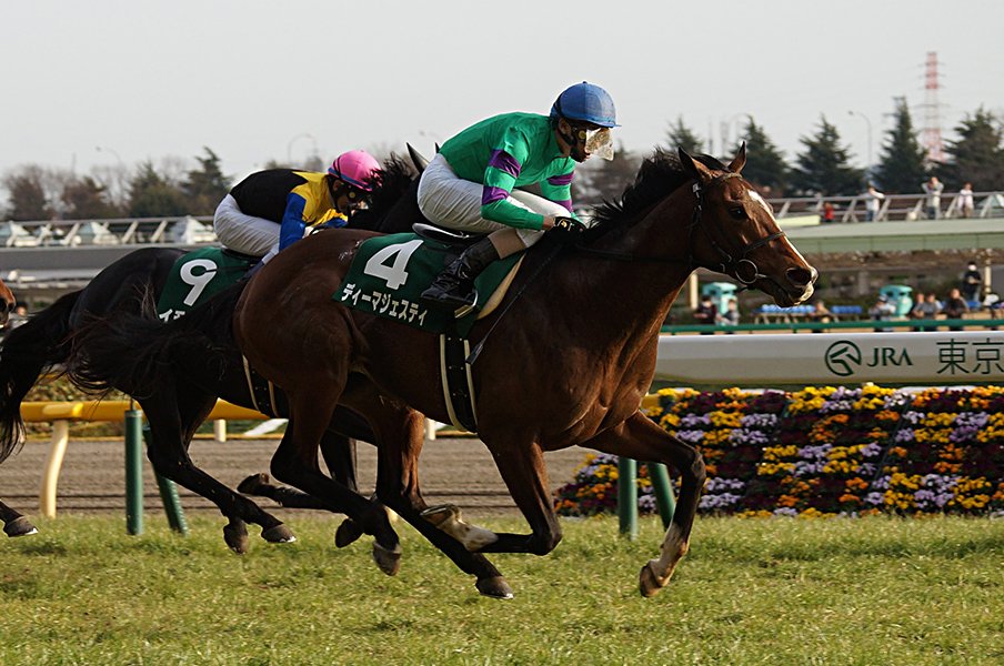 共同通信杯を前に振り返りたい、ディーマジェスティの“奇跡の血統”。<Number Web> photograph by Satoshi Hiramatsu