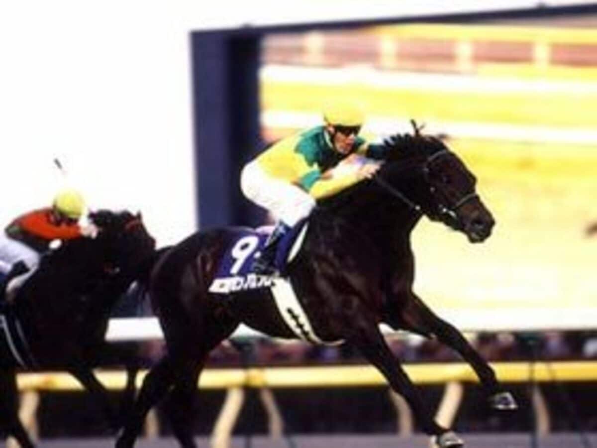 img_6f8c494b49ffabb41f536b5587