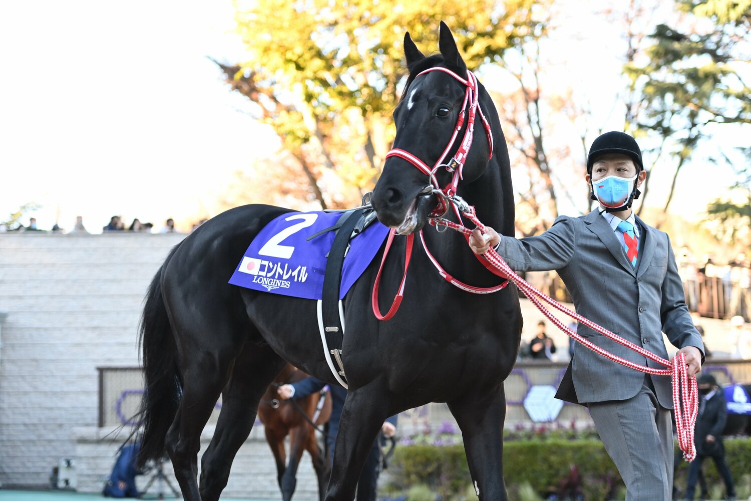 パドックでのコントレイル