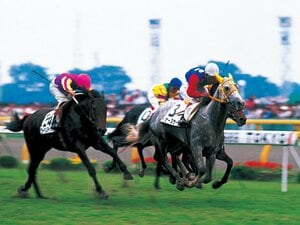 <徹底追跡>その後の王者たち――ウィナーズサークル「流れ流れて東大へ」。