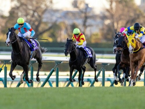 イクイノックス　出資者限定　有馬記念優勝記念品 イクイノックス 出資者限定 有馬記念優勝記念品 （イク