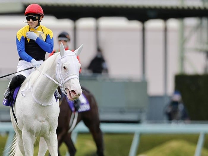 【桜花賞】ソダシvsアカイトリノムスメの「紅白対決」か…“並ではないスピード”のあの馬が逃げるとコワい？＜Number Web＞ photograph by Photostud