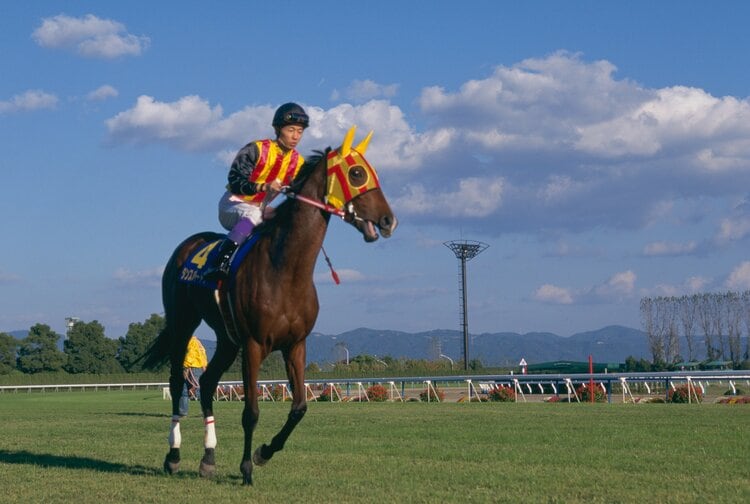 おれは、苦しいんだ」田原成貴が聞いた菊花賞馬マヤノトップガンの“声”とは…人馬ともに型破りな〈脚質・自在〉の誕生秘話 - 競馬 - Number  Web - ナンバー