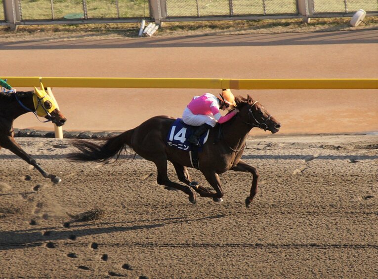 フェブラリーSを優勝したモーニン