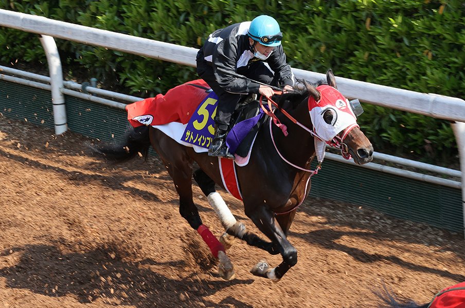 NHKマイルで激突する全勝の2頭。3歳世代のGI勝利は全てが無敗馬。<Number Web> photograph by Yuji Takahashi