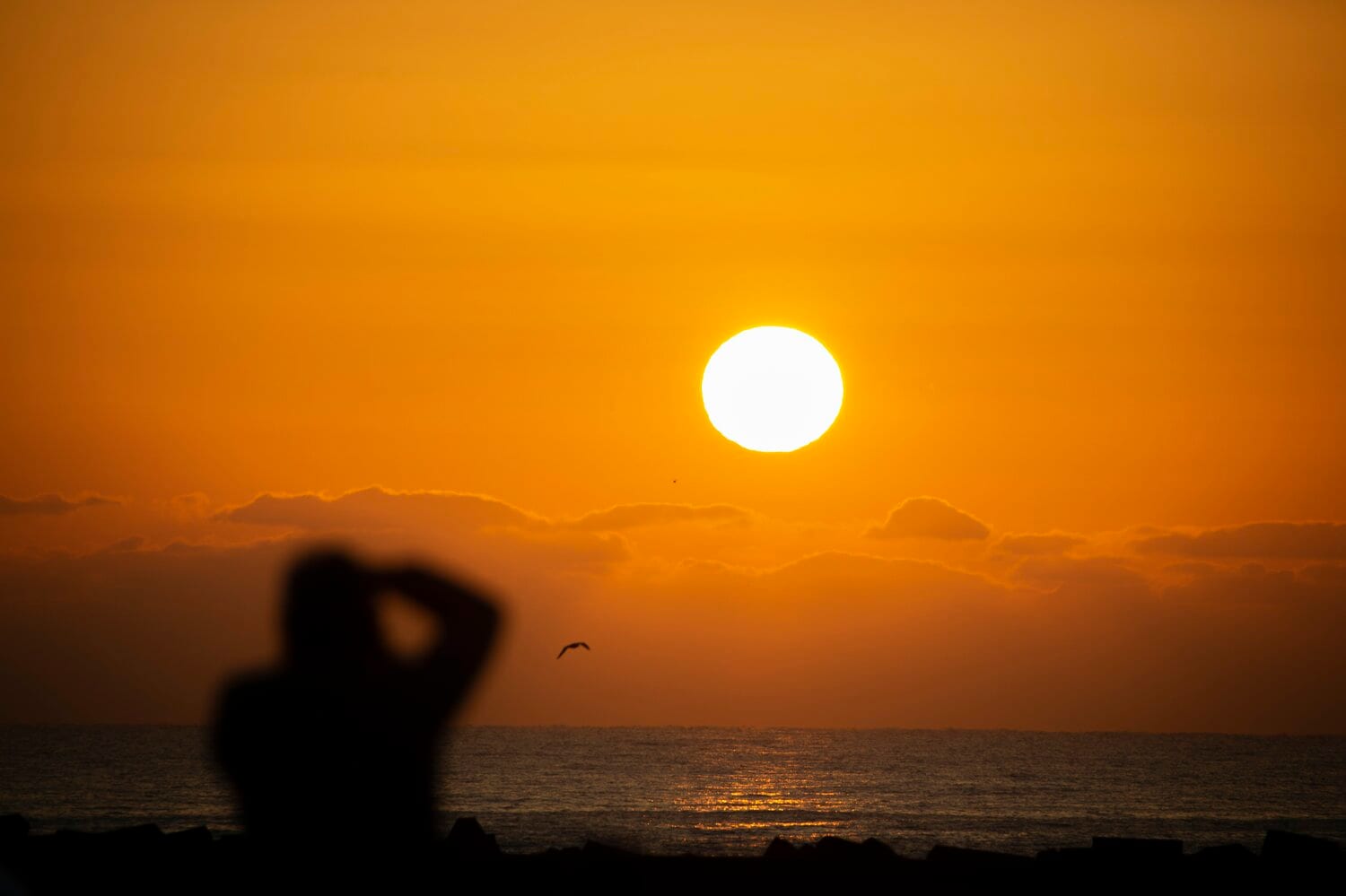 2021年3月11日、いわき市の海岸　©Getty Images