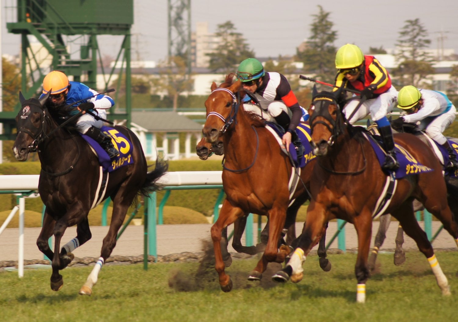 2012年の桜花賞ではジェンティルドンナ、ヴィルシーナと僅差の3着だった©Satoshi Hiramatsu