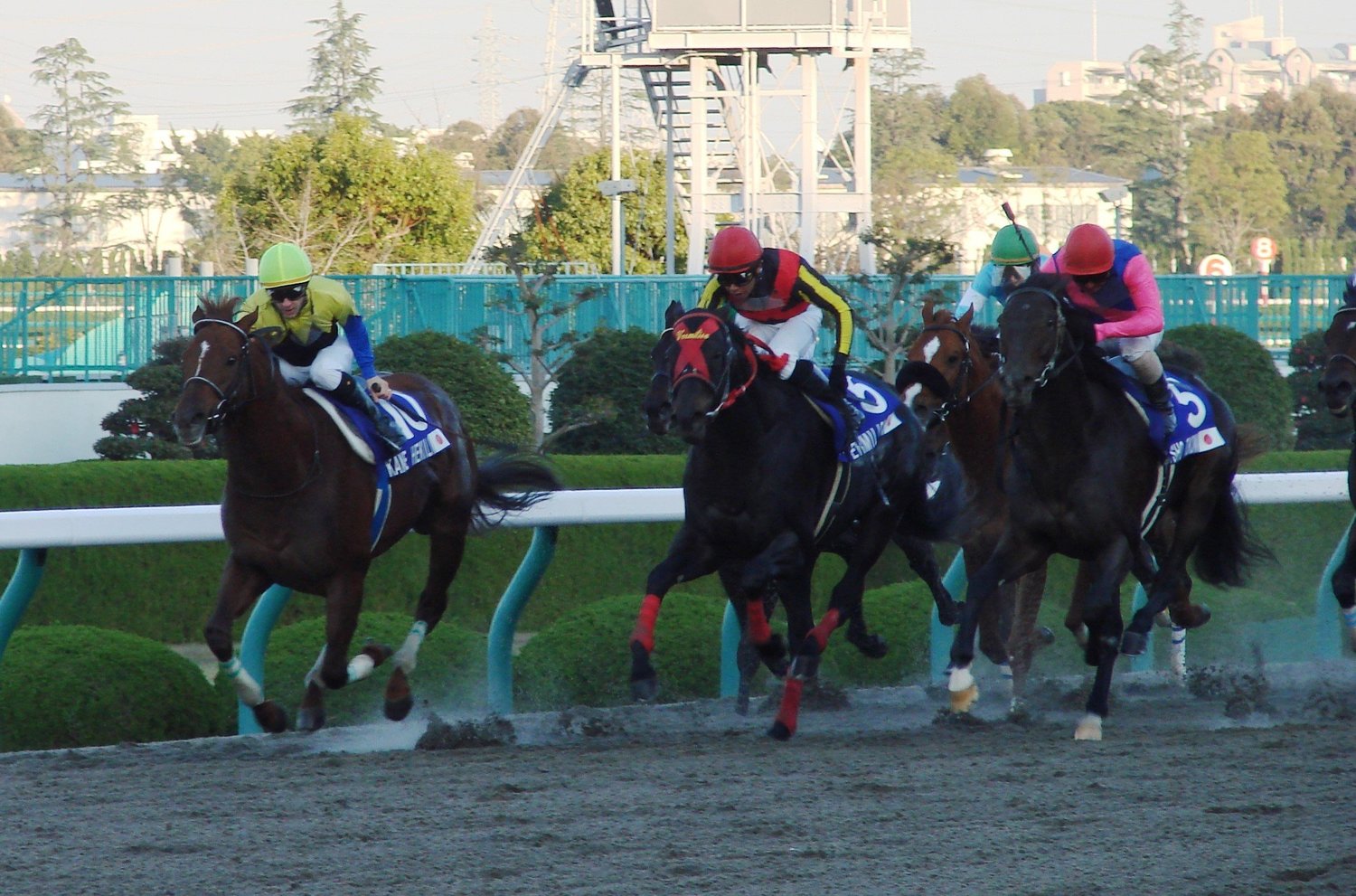 08年JCダートでのカネヒキリ（左）