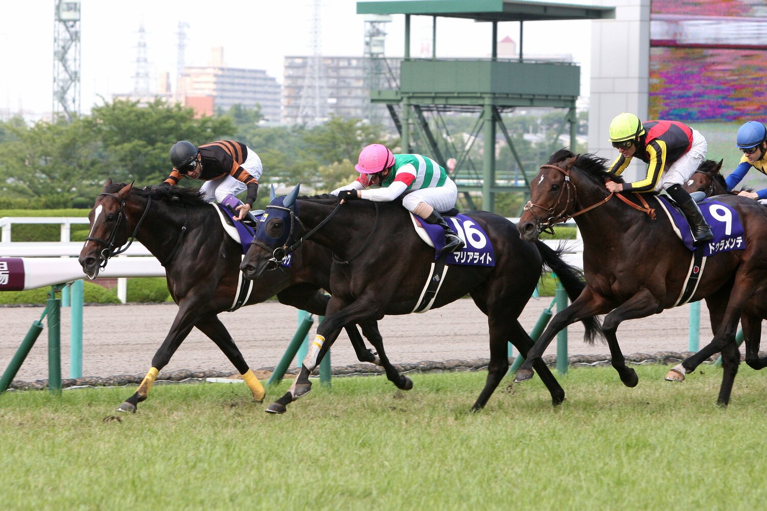 ©Eiichi Yamane/AFLO