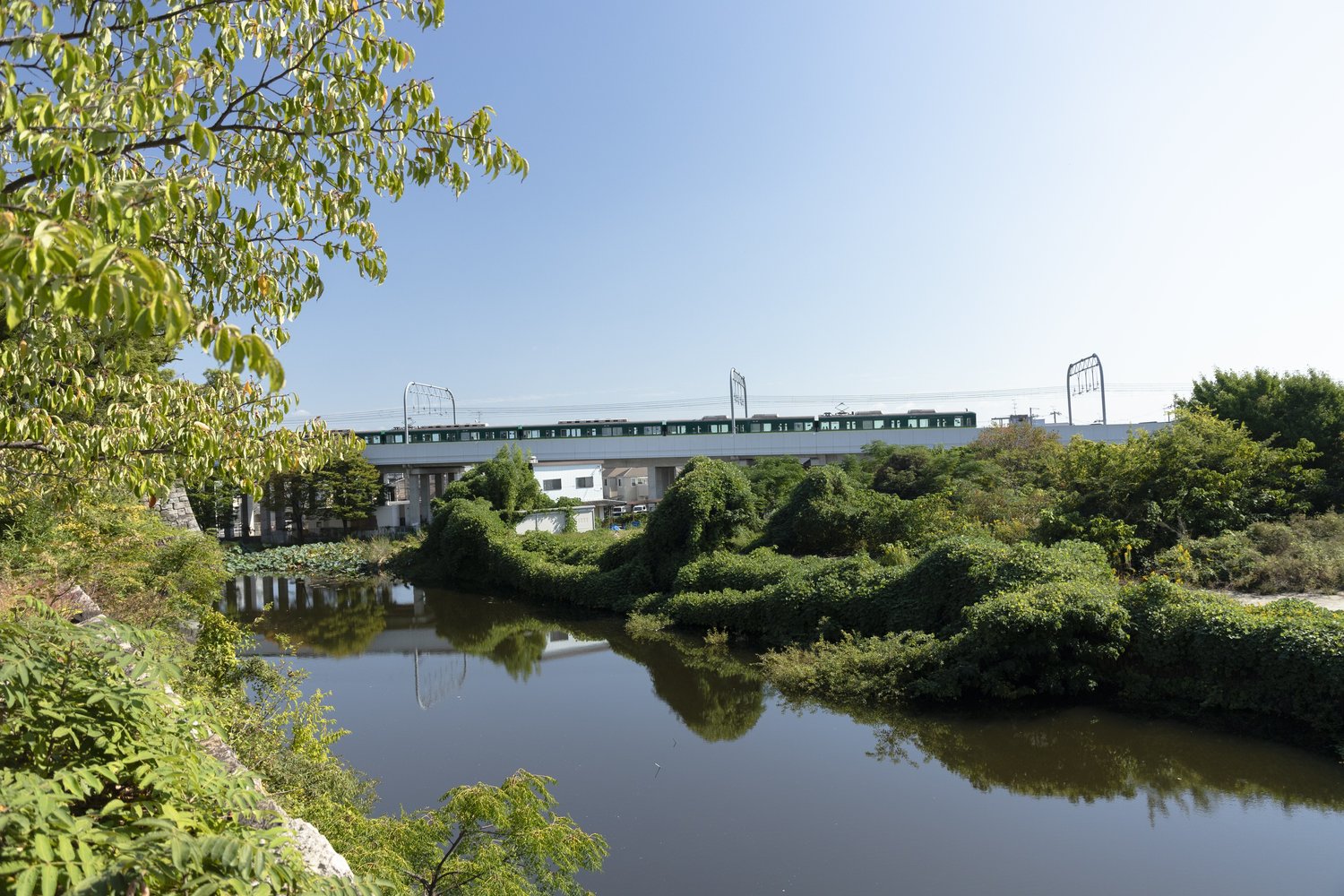 淀城の跡地から京阪電車を眺める