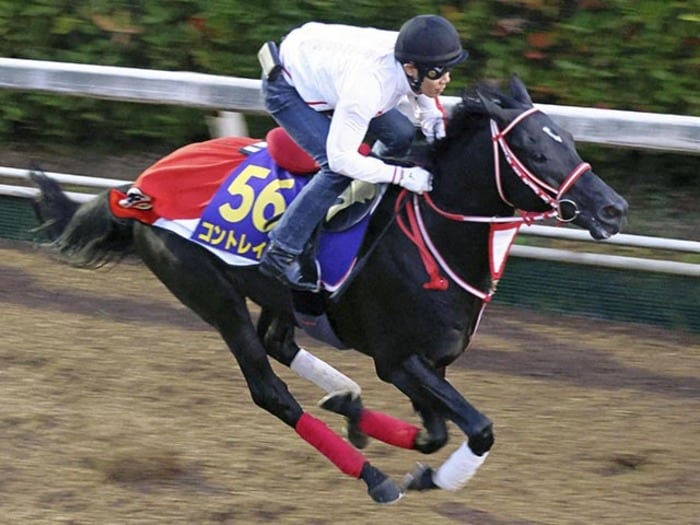 《天皇賞・秋》ハイレベルGIで「3強」に割って入る馬が？ それでも本命コントレイルの“2つの理由”「1つはコース適性。もう1つは…」＜Number Web＞ photograph by KYODO