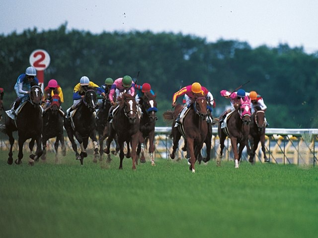 若さゆえの高速決着］1999 “RIVAL”――テイエムオペラオー「覇王前夜の1ハロン」 - 競馬 - Number Web - ナンバー