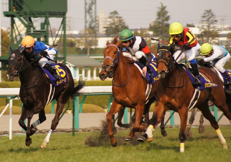 2012年の桜花賞ではジェンティルドンナ、ヴィルシーナと僅差の3着だった©Satoshi Hiramatsu