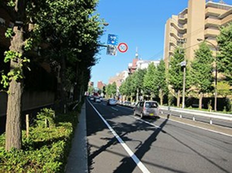 暑い夏には、都心から逃げよう！セレブ世田谷、緑の公園巡り60km。(14)