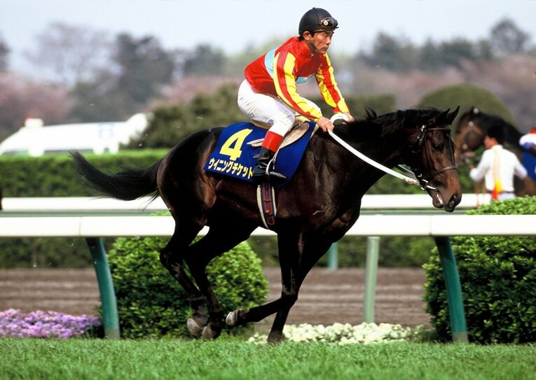 皐月賞では4着に敗れた（1着はナリタタイシン、2着ビワハヤヒデ）　©BUNGEISHUNJU