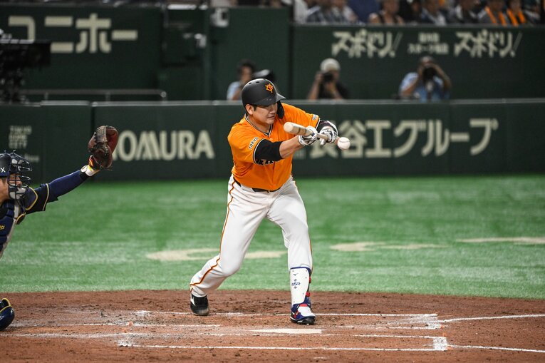 2024年　©︎Nanae Suzuki