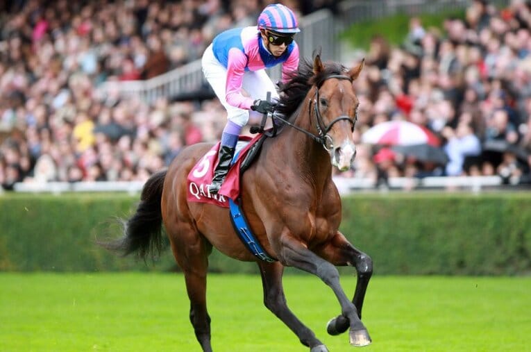 2007年の凱旋門賞を直前で断念し、翌年に再挑戦を果たしたメイショウサムソンと武豊 ／ photograph by AFLO