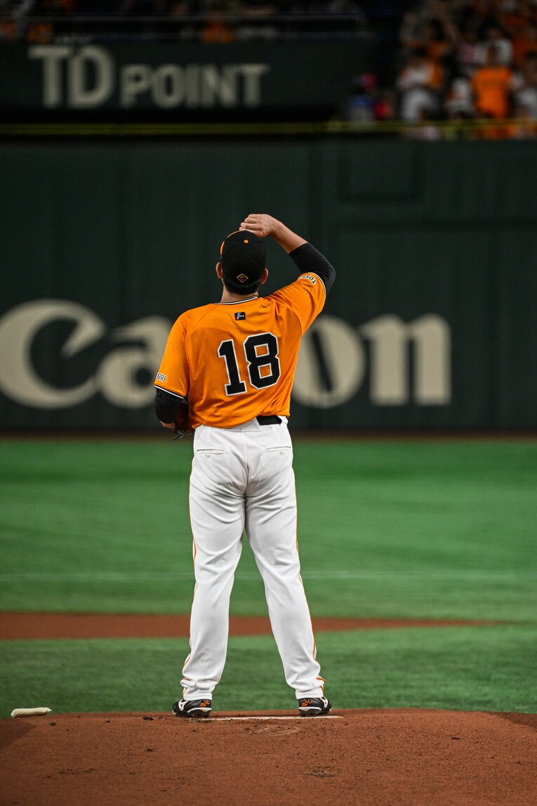 2024年　©︎Nanae Suzuki