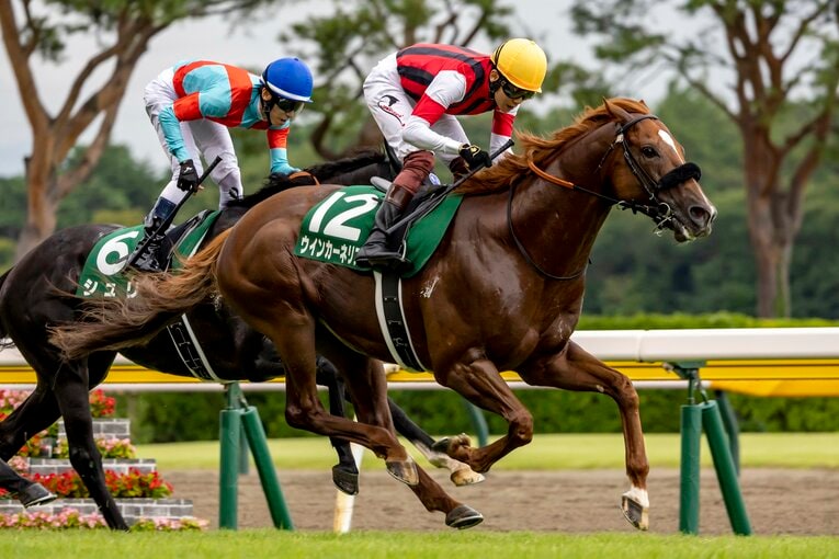 関屋記念を制したウインカーネリアン ／ photograph by photostud