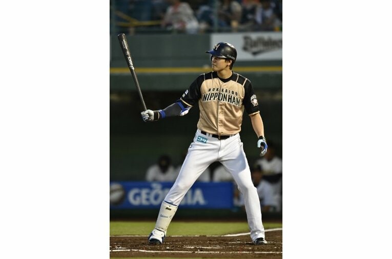 2014年　©Hideki Sugiyama