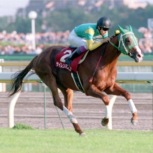 ファレノプシス　武豊　秋華賞　競走馬　写真　パネル　額縁入り　スポーツ新聞付き img_71ede09cf71a0e4a3890345301