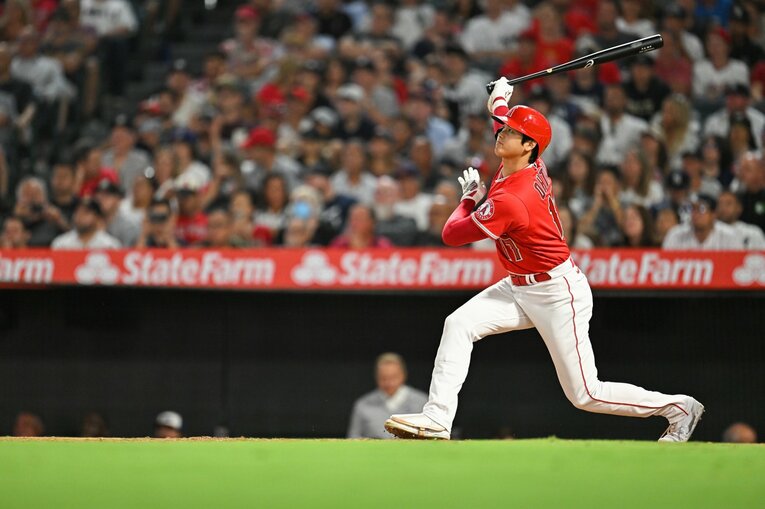 大谷29号の連続写真（6／9） ©Nanae Suzuki