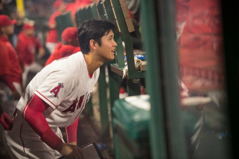 2018年　©Nanae Suzuki