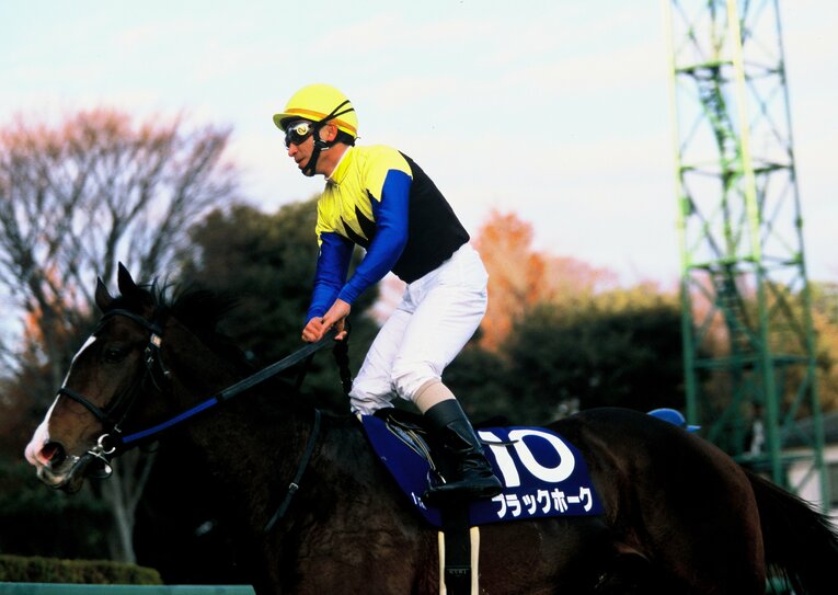 短距離戦線で活躍したブラックホーク　©Tomohiko Hayashi