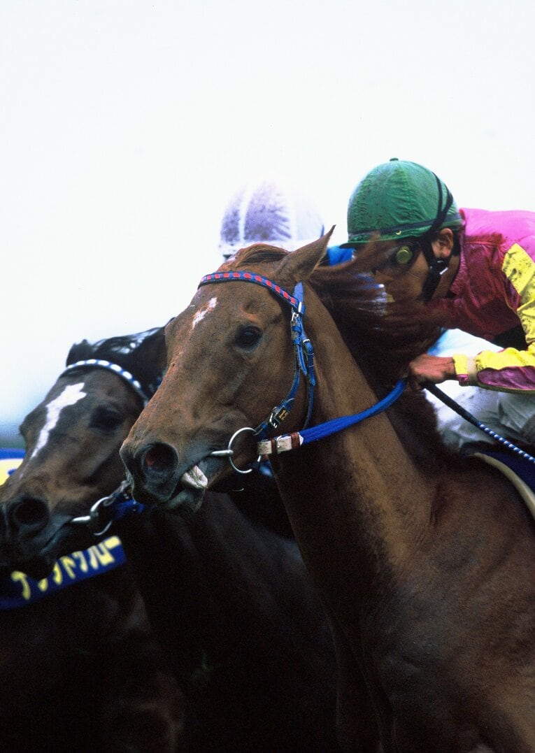 皐月賞でも直線で名勝負を演じたオペラオー（手前）とナリタトップロード　Koji Asakura