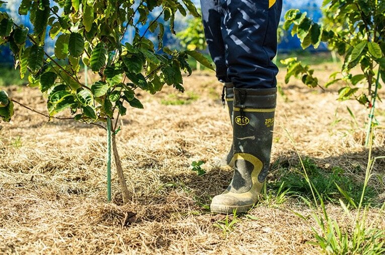 高原直泰・独占インタビュー（前編）。「僕が沖縄でコーヒー豆をつくる理由」(2)