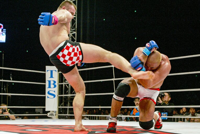 ミルコへのリベンジを狙った藤田和之は判定で敗れた