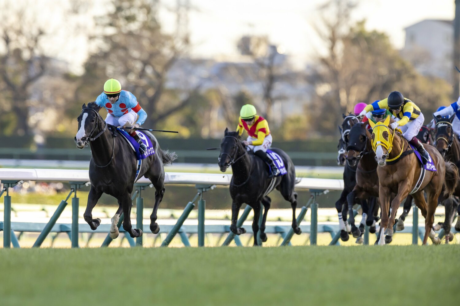 昨年は天皇賞・秋、有馬記念を制したイクイノックスとルメール。今年も競馬界の主役となるか(写真は有馬記念) ©Photostud