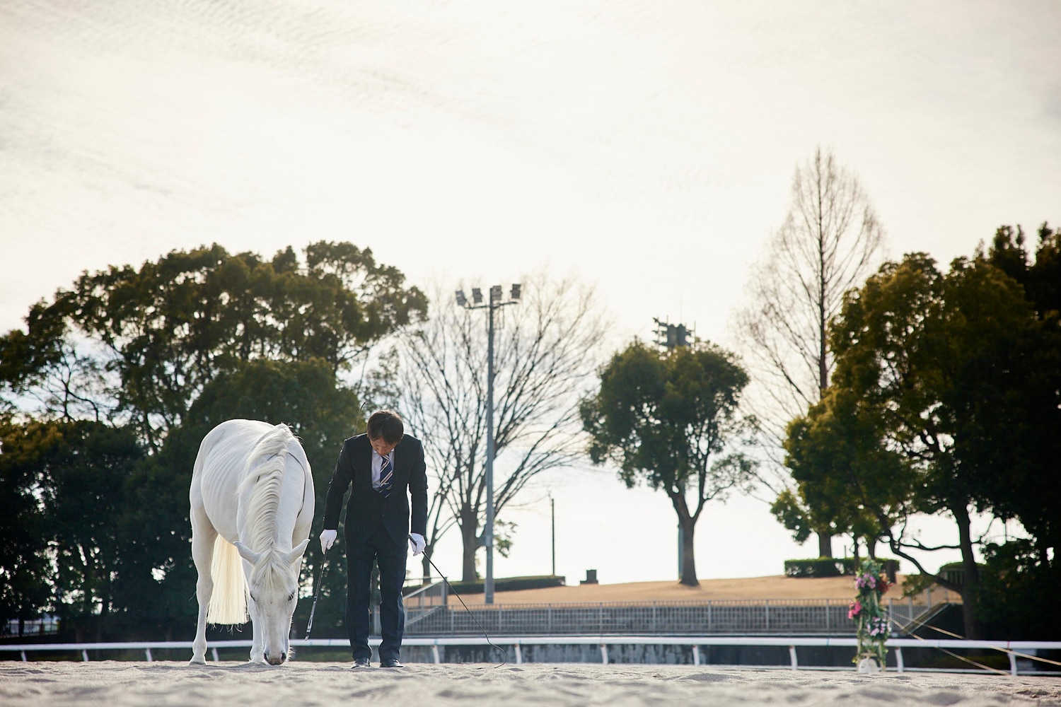 富塚の合図に合わせて頭を下げる、ホワイトワンボーイ　©︎Yusuke Nakanishi