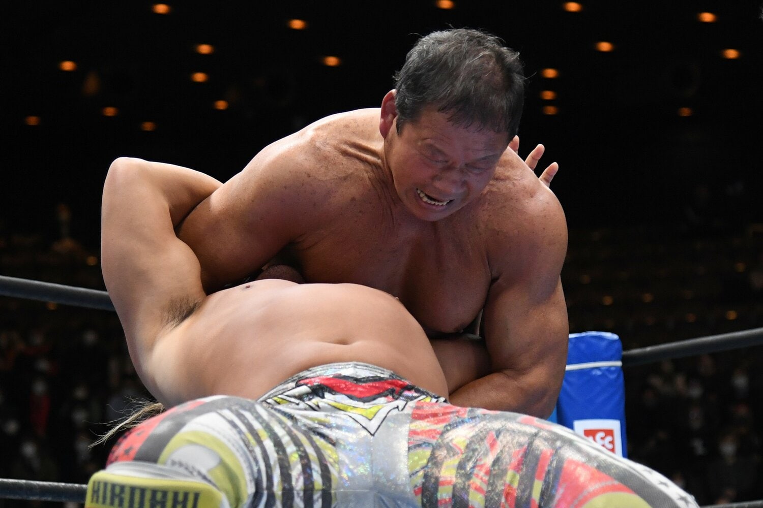 藤波辰爾のドラゴンスリーパー