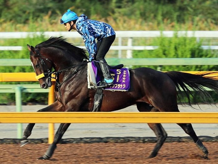 キタサン引退までのカウントダウン。雨模様の天皇賞・秋、状態は？＜Number Web＞ photograph by Yuji Takahashi