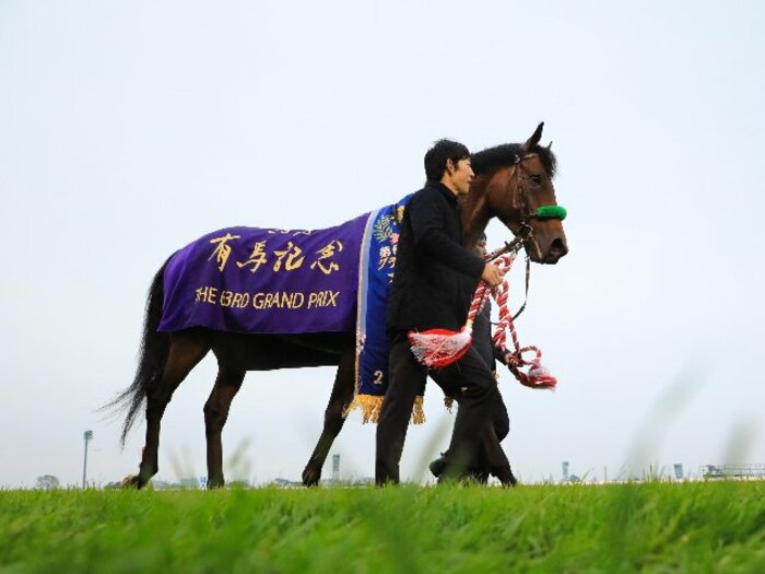 有馬記念の覇者が“乗馬”に…ブラストワンピースはなぜ種牡馬になれなかったのか？ 血統専門家「タイトルがもうひとつあれば…」＜Number Web＞ photograph by AFLO