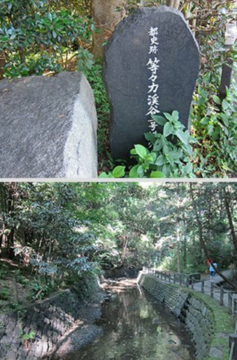 暑い夏には、都心から逃げよう！セレブ世田谷、緑の公園巡り60km。(11)