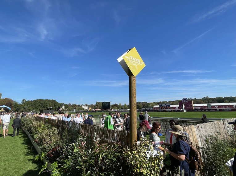 特別なチケットを持つものだけが入れるゴール前のサークル ©Shintaro Okawa