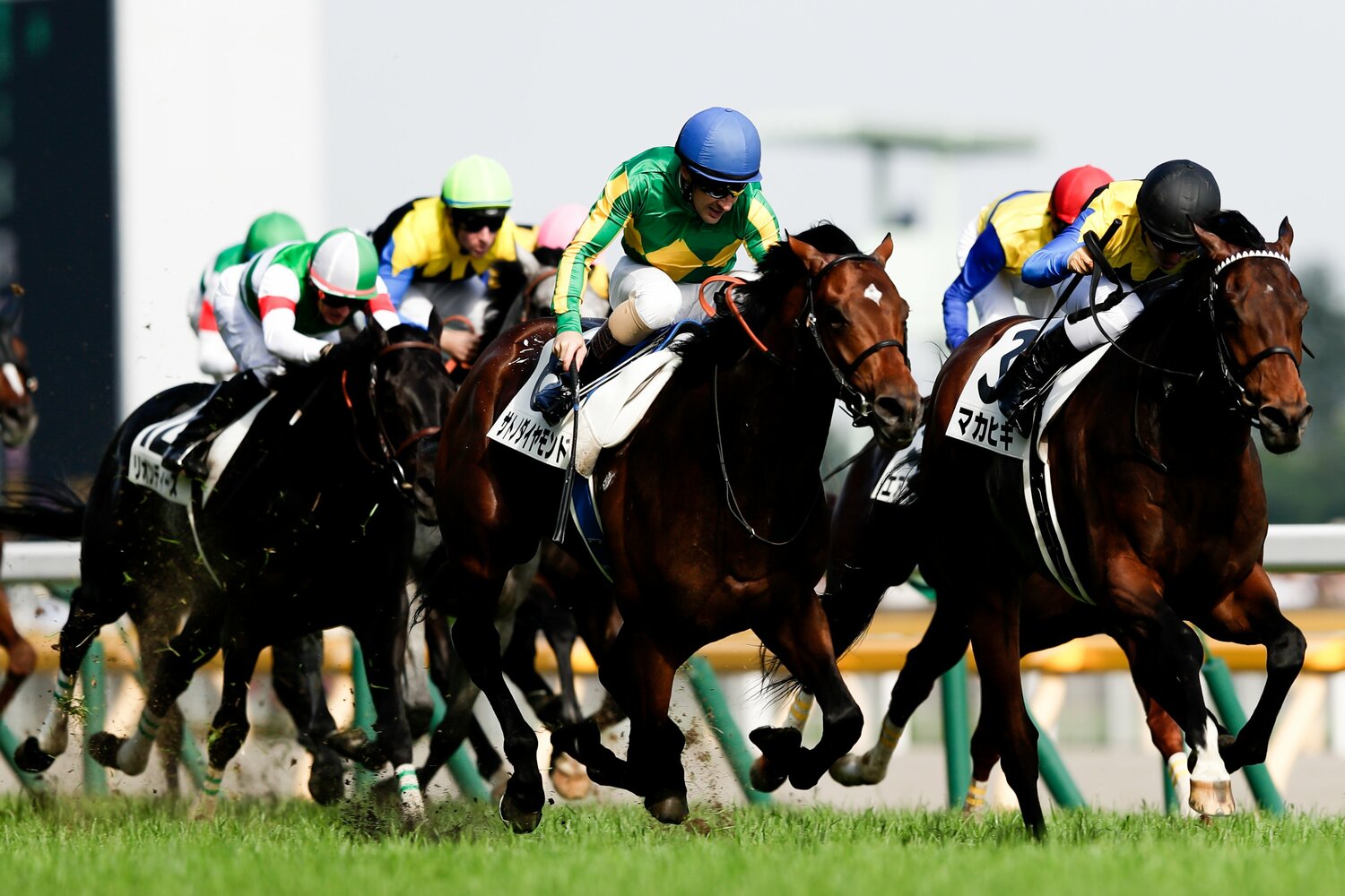 2億3000万円のサトノダイヤモンドは落札額の3倍以上の賞金を稼ぎ出した　©Kiichi Matsumoto