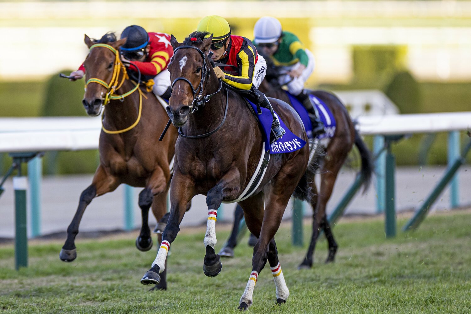 GI初制覇は2022年の阪神ジュベナイルフィリーズだった　©Sipa USA/JIJI PRESS